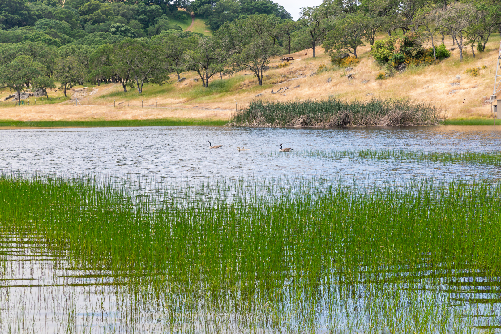 An image depicting the trail Rockville Trail, Grey Goose Lake and Quarry Loop and its surrounding area.