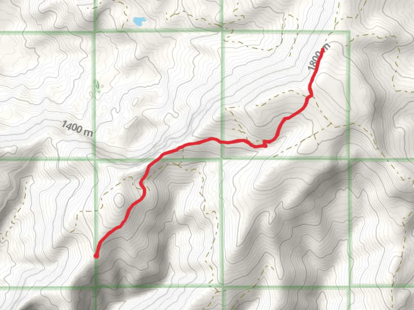 An image depicting the trail Walk to Moon Rocks and its surrounding area.