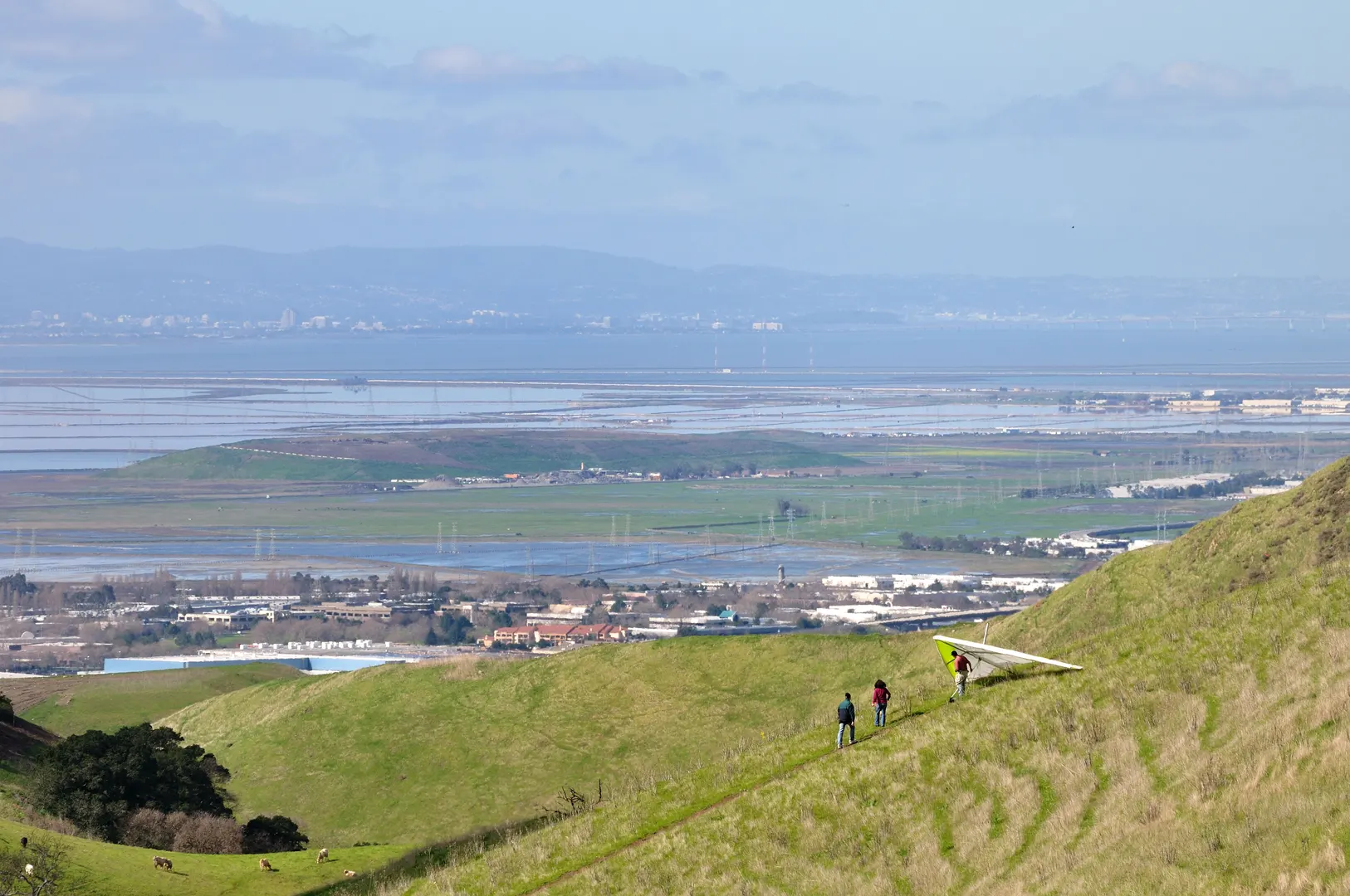 An image depicting the trail Caliente Trail via Agua Caliente Road and its surrounding area.