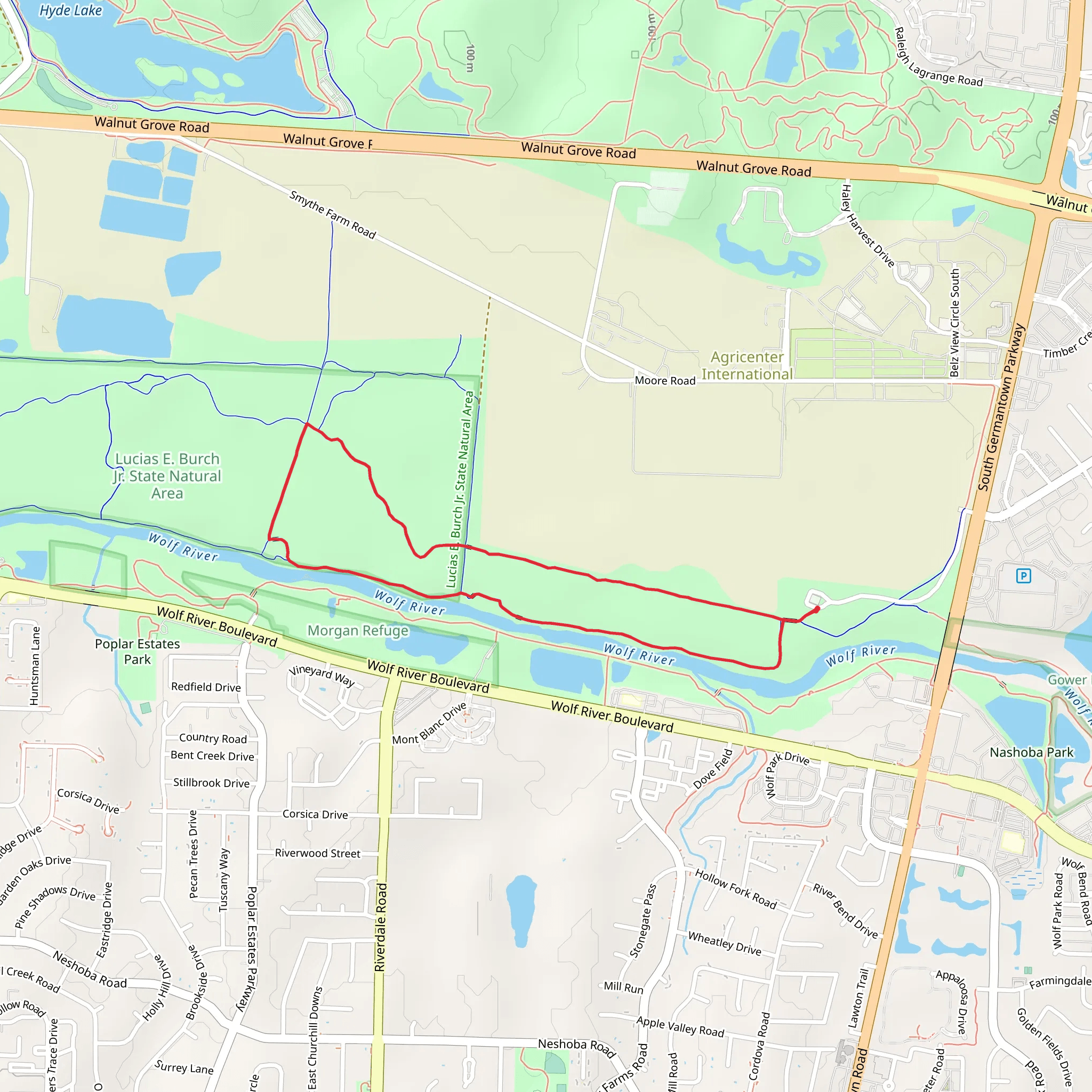 Wolf River Yellow and Blue Loop Trail mobile static map