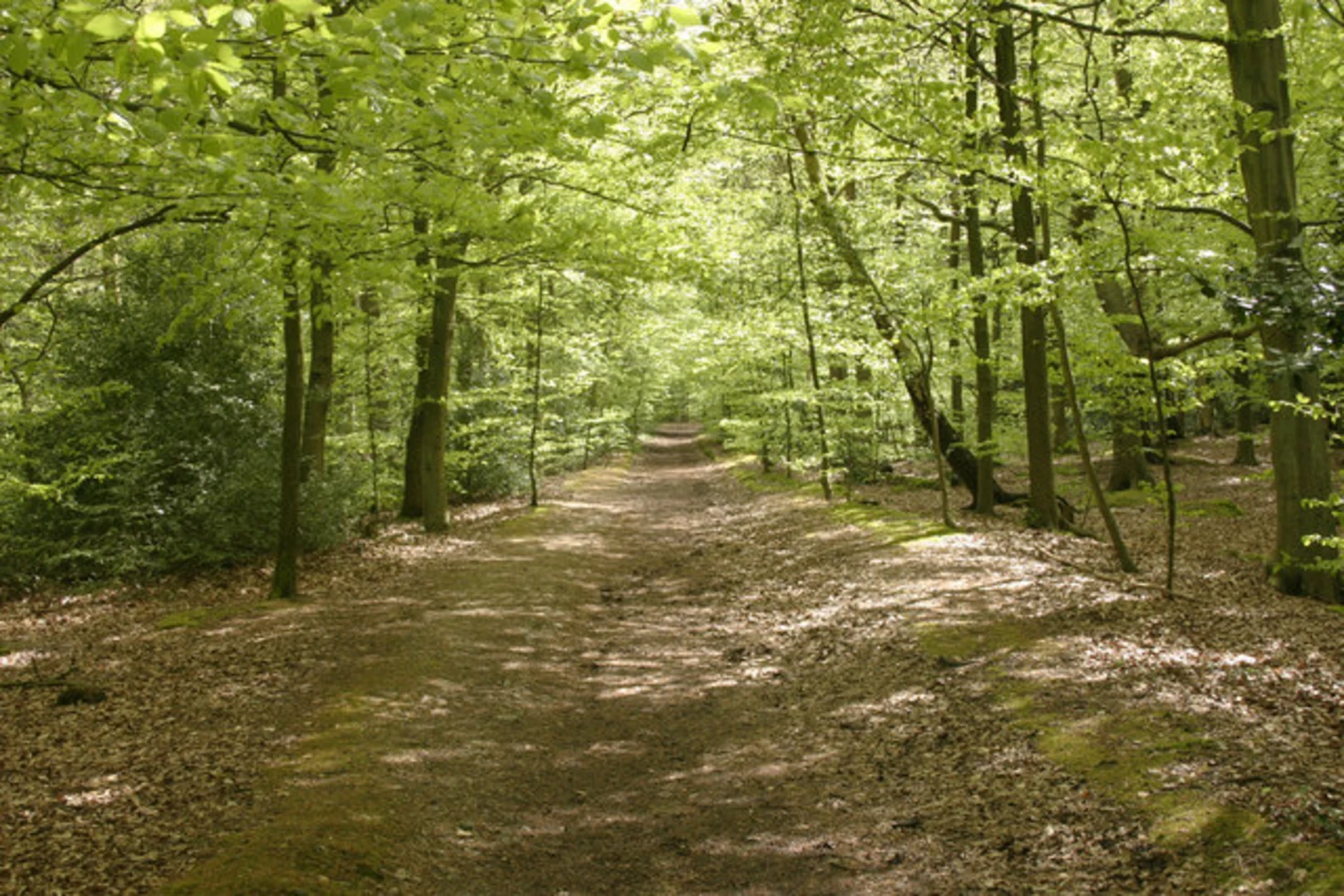 An image depicting the trail Harrow Weald Common and Summerhouse Lake Loop and its surrounding area.