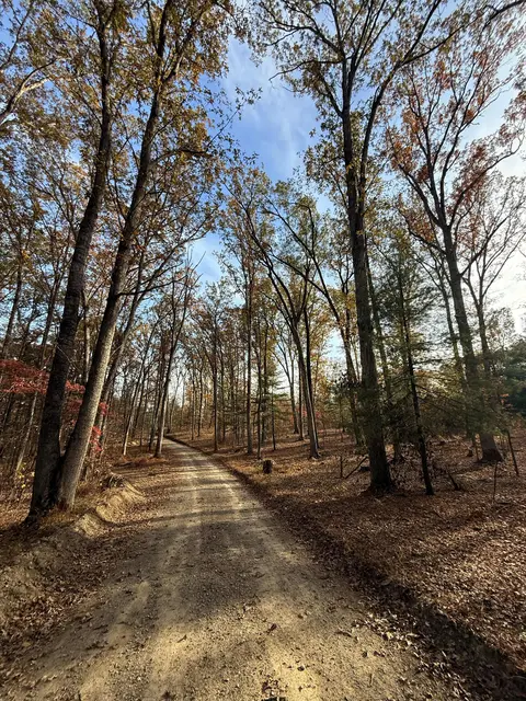 An image depicting the trail Twin Oaks and Pine Lick Loop Trail and its surrounding area.
