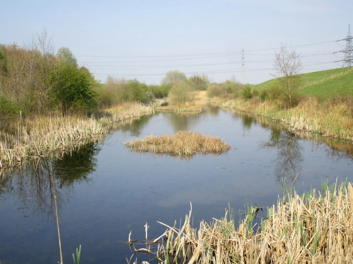 Thorpe Marsh Nature Reserve Loop
