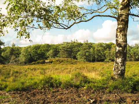 Render Klippen, Eperholt and De Hooge Heide Loop