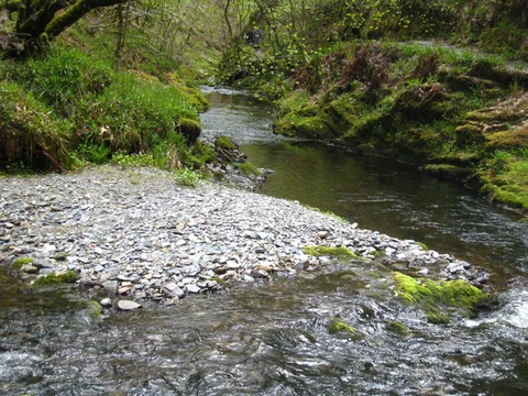 An image depicting the trail Wheal Jewell Reservoir, Ravens Tor and White Lady Waterfall Loop and its surrounding area.
