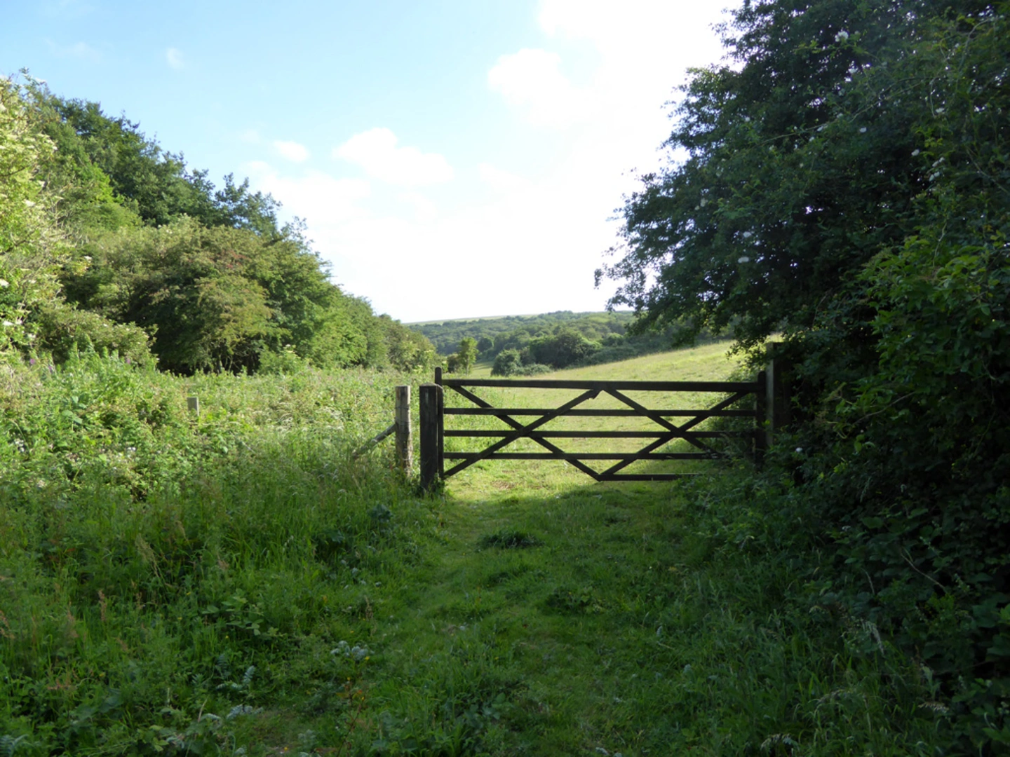 An image depicting the trail Lewes Loop via Ashcombe Bottom and its surrounding area.