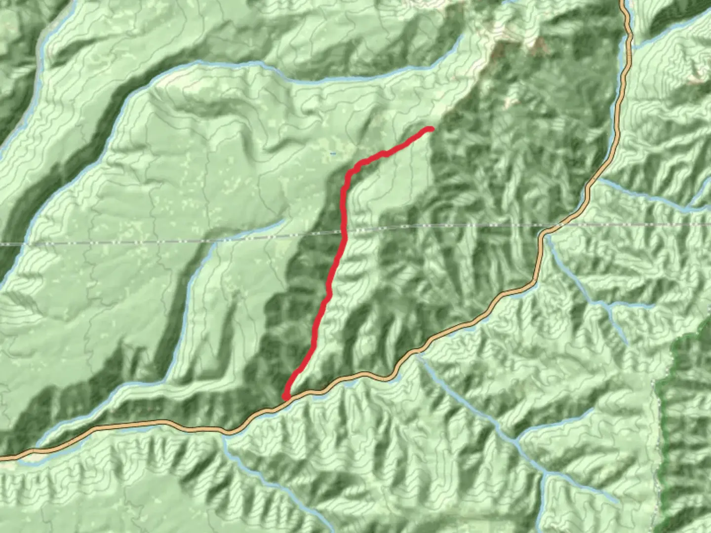 An image depicting the trail Priest Gulch Trail and its surrounding area.