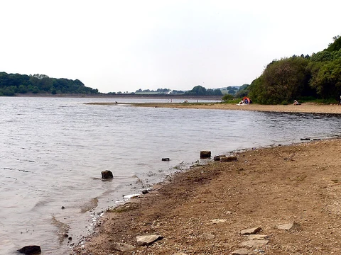 An image depicting the trail Brown Hill and Lower Rivington Reservoir Loop and its surrounding area.