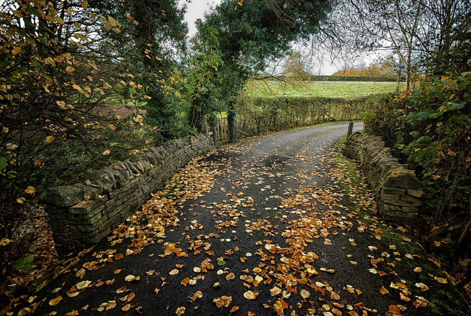 An image depicting the trail Kintbury Loop and its surrounding area.