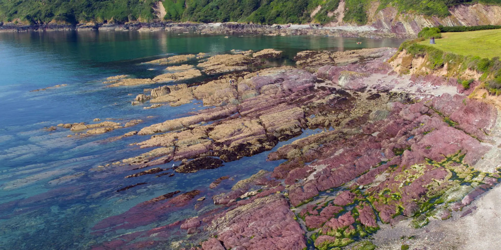 An image depicting the trail Hendersick and Talland Bay Loop and its surrounding area.