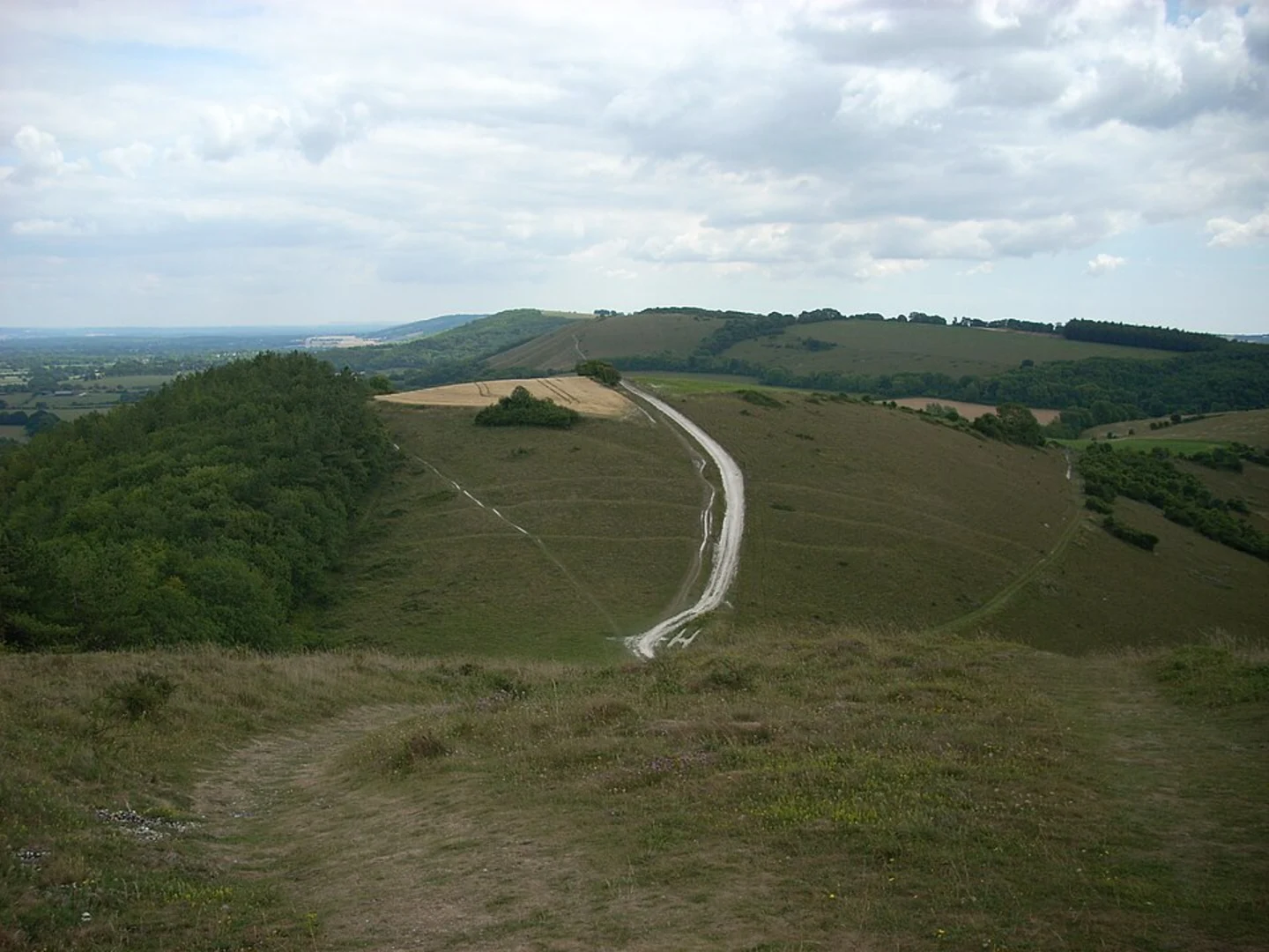 An image depicting the trail Hooksway Loop and its surrounding area.