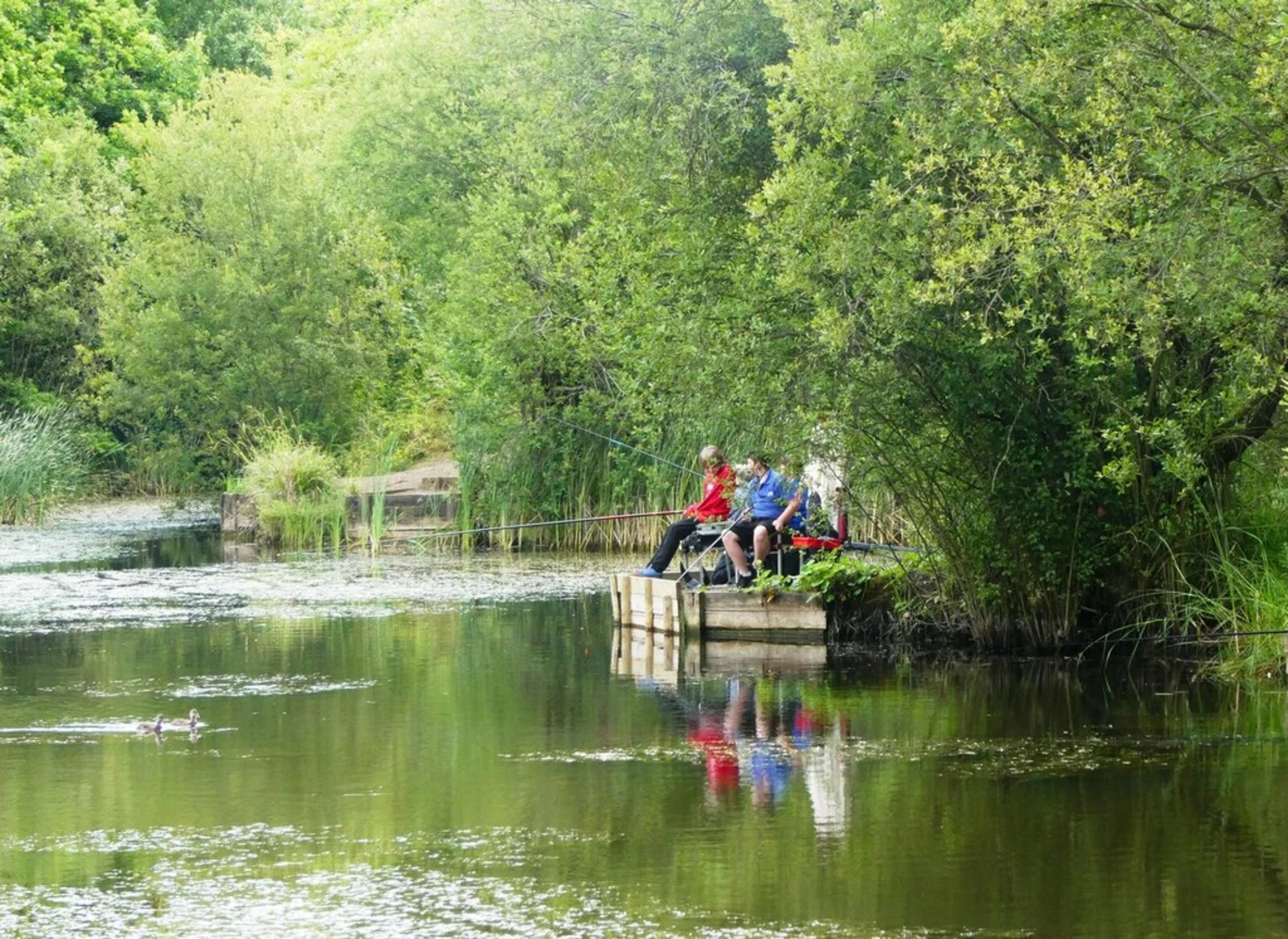 An image depicting the trail Shorne Woods Country Park and its surrounding area.