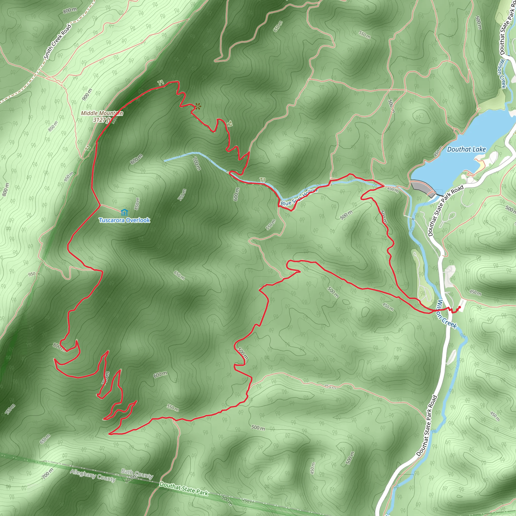 Tobacco House Ridge, Blue Suck Falls and Stony Run Loop Trail mobile static map