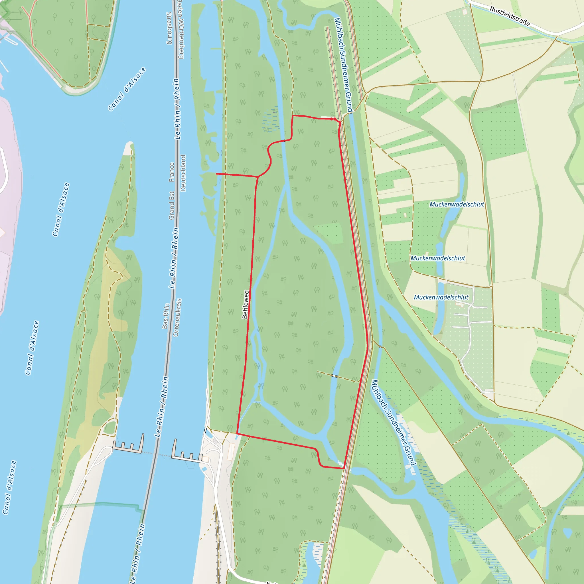Rheinauenwald Loop via Rheinaueweg mobile static map