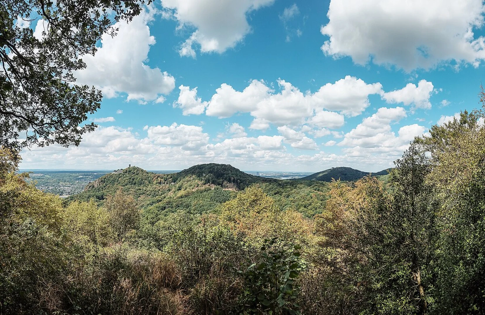 An image depicting the trail Kleiner Breiberg and Löwenburg via Tretschbachtal and its surrounding area.