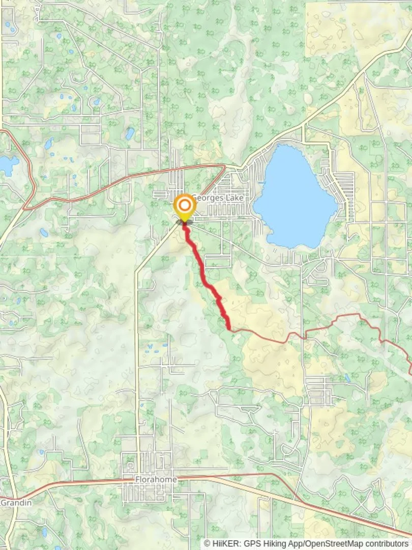 An image depicting the trail Florida Trail - Tinsley Road and its surrounding area.