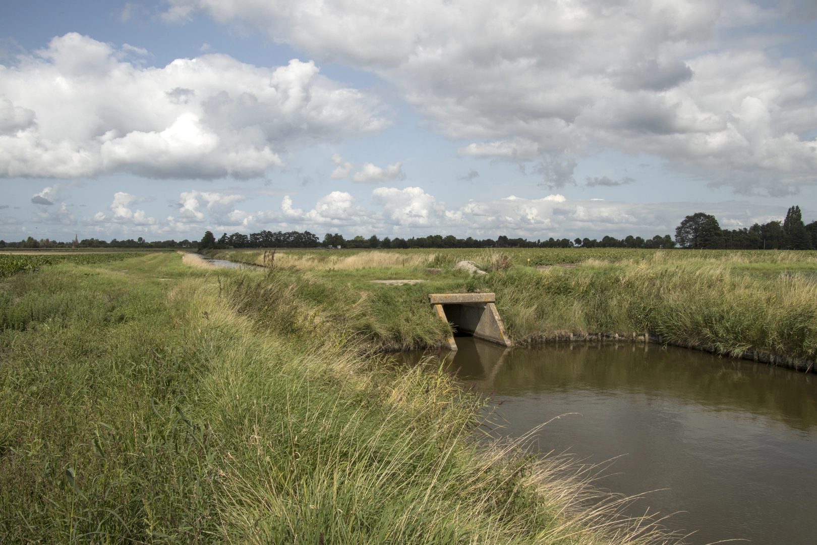 An image depicting the trail Sluishoek and Stelhoek Loop and its surrounding area.