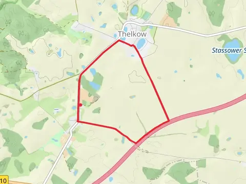 Thelkow Loop