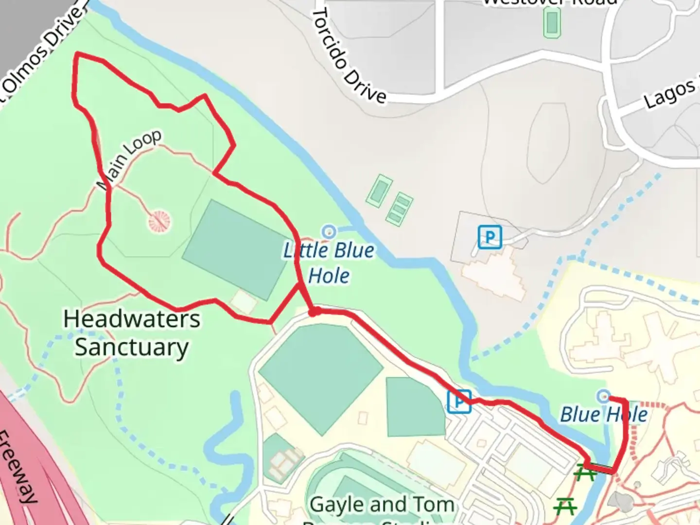 An image depicting the trail Olmos Creek and Main Loop and its surrounding area.