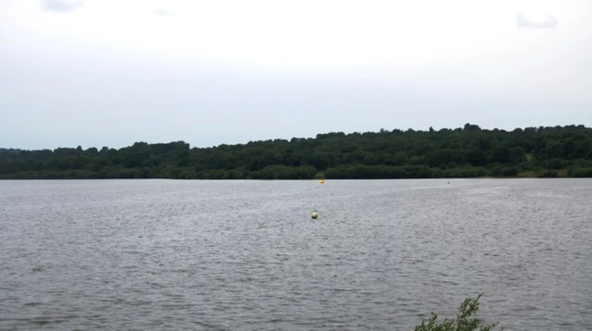 An image depicting the trail Weir Wood Reservoir Loop and its surrounding area.