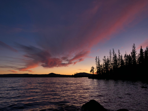 An image depicting the trail Jim Weaver Loop - Waldo Lake Trail and its surrounding area.