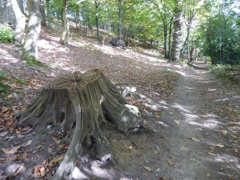 An image depicting the trail Westerham, French Street and Emmett's Garden Loop and its surrounding area.