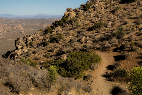 An image depicting the trail Ryan Mountain Campground Loop Trail and its surrounding area.