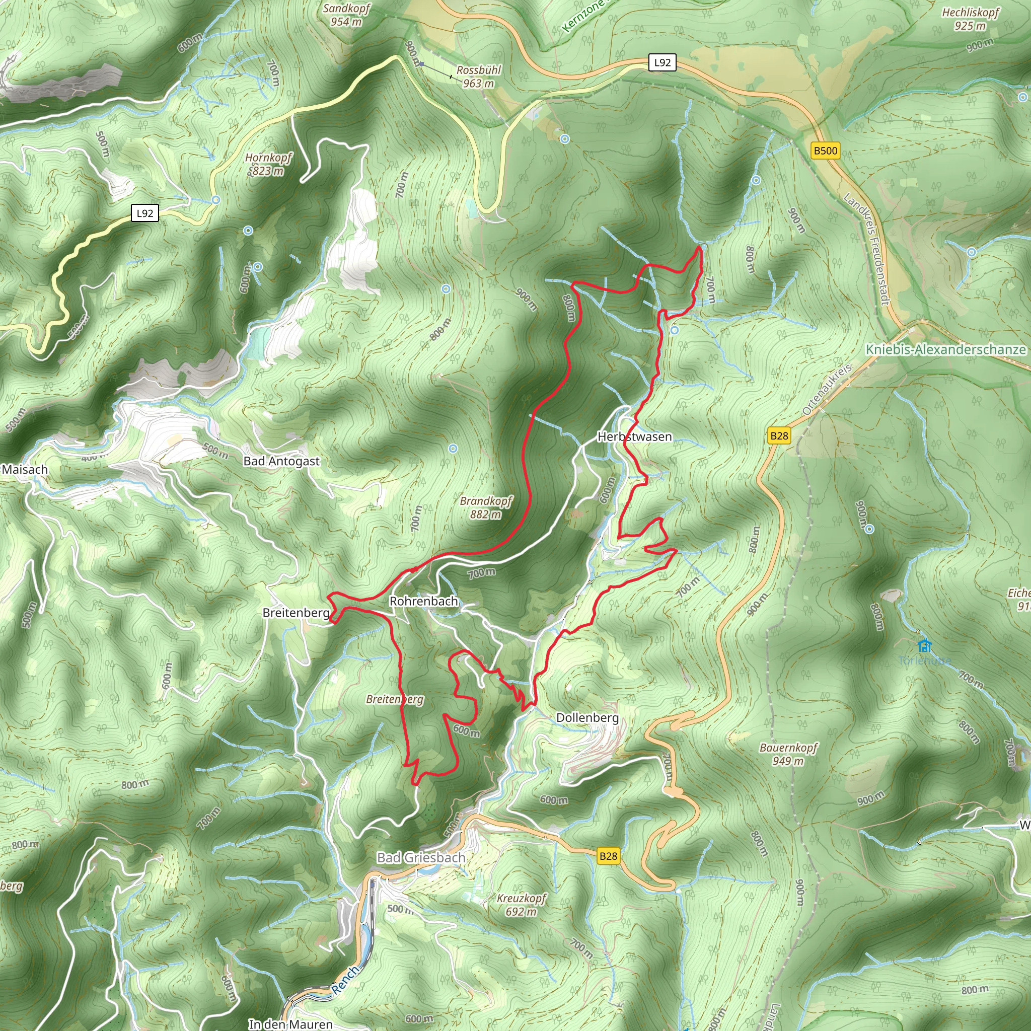 Rohrenbach, Fischfelsenhutte and Hinterer Heidenbuhl Loop via Wiesensteig mobile static map