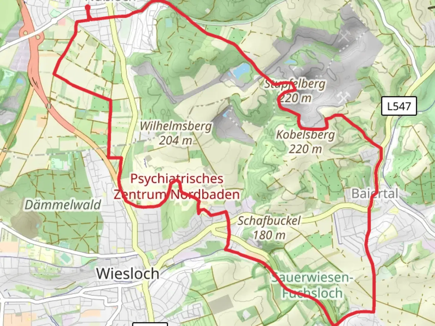 An image depicting the trail Stupfelberg via Obst-Lehrpfad Nussloch and its surrounding area.