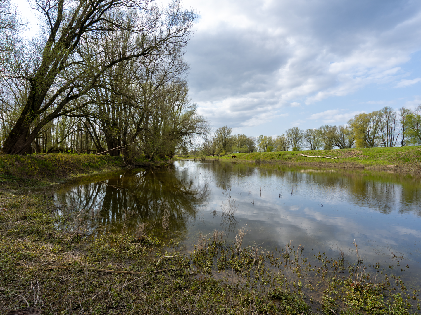 An image depicting the trail Hakenberg, Roorderheurne and De Hooge Lutte Loop and its surrounding area.