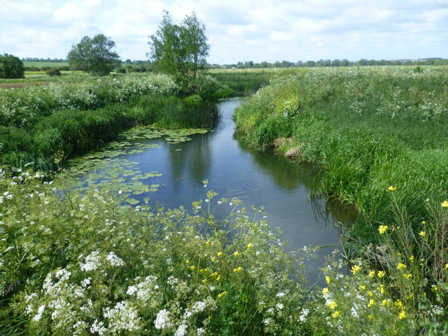 An image depicting the trail Harringworth Welland Viaduct Loop and its surrounding area.