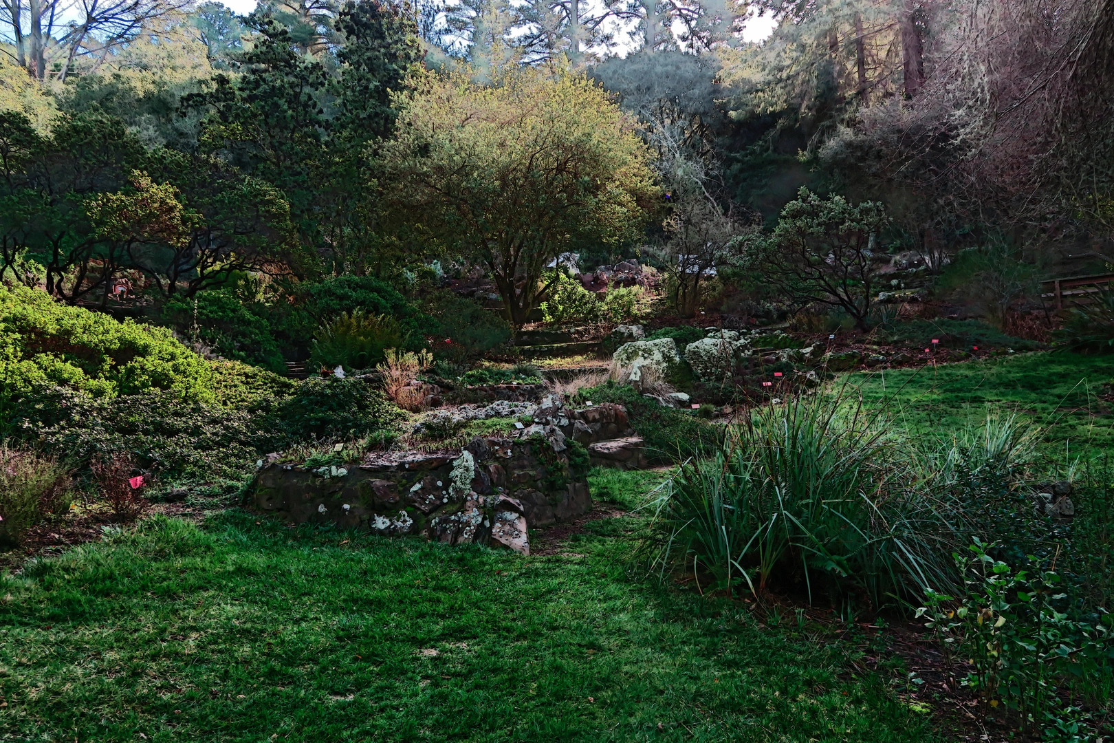 An image depicting the trail San Diego Botanic Garden Loop and its surrounding area.