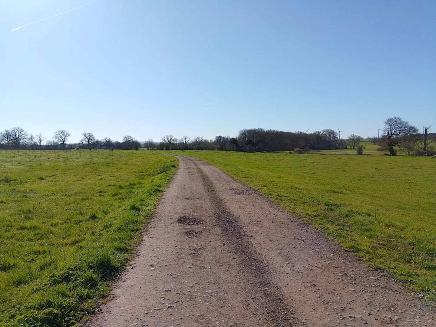 An image depicting the trail Coleshill Estate and its surrounding area.