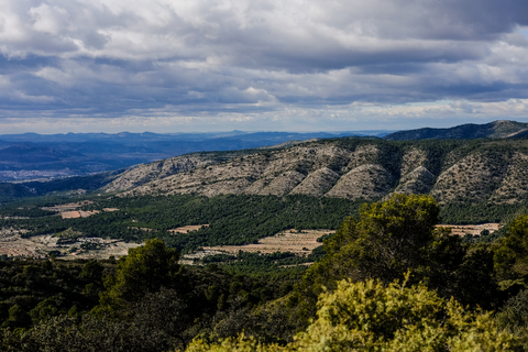 Xorret de Catí - Pantanet - Xorret de Catí PR CV 034