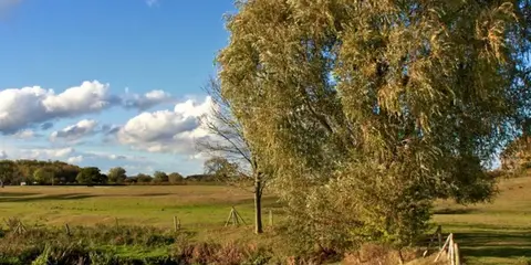 An image depicting the trail Studley Circular and its surrounding area.