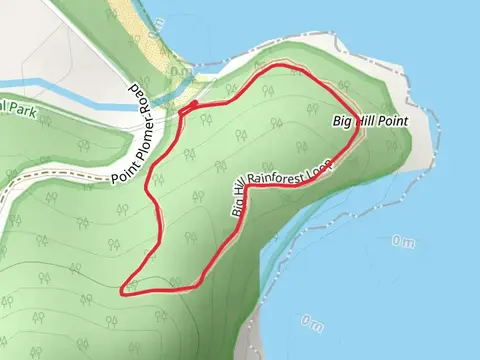 Big Hill Rainforest Track