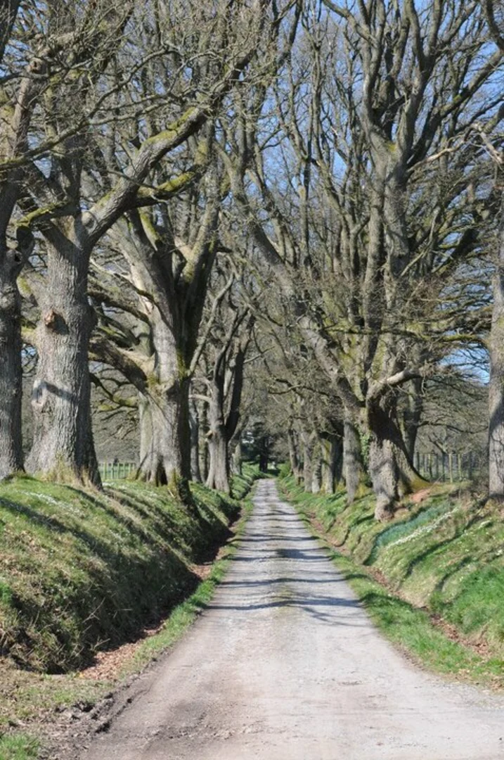 An image depicting the trail Michaelchurch Escley Loop and its surrounding area.
