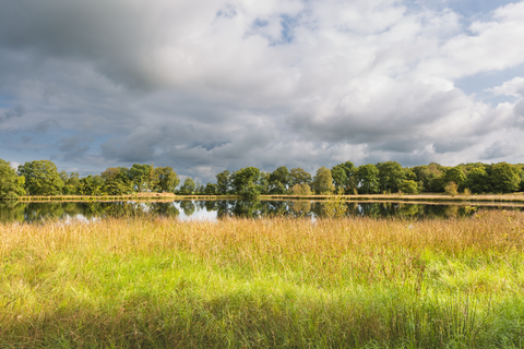 Kampsheide, Taarlose Veentje and Balloeerveld Loop