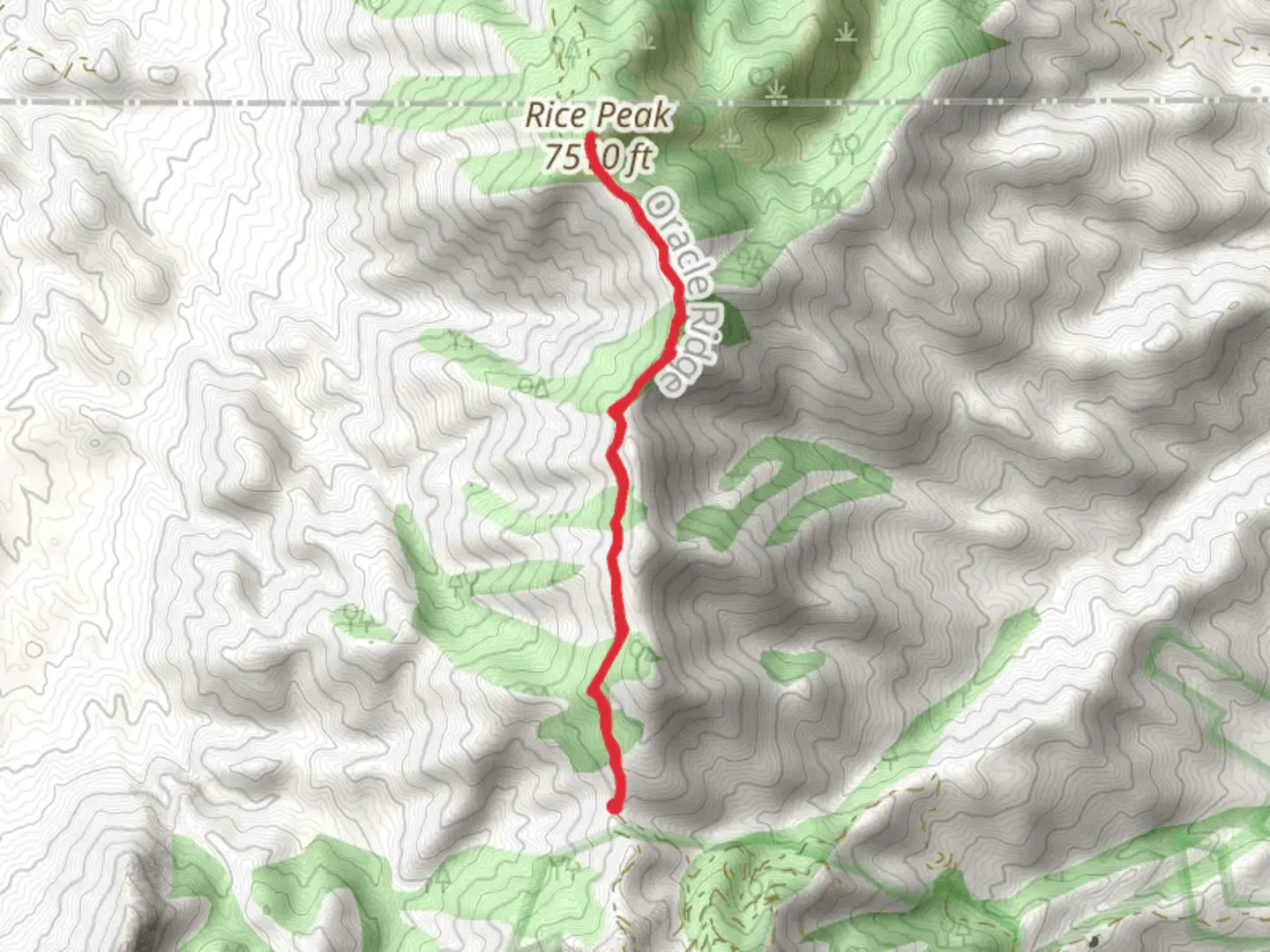 An image depicting the trail Rice Peak and its surrounding area.