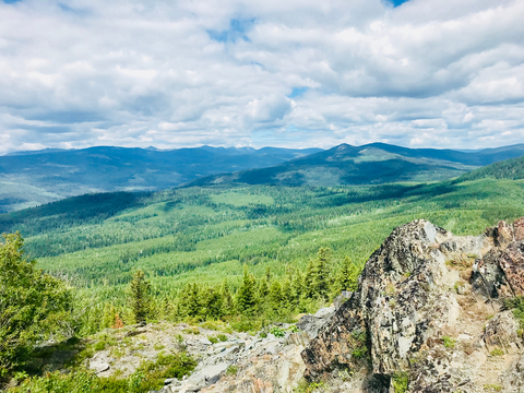 An image depicting the trail Zulu Creek Trail and its surrounding area.
