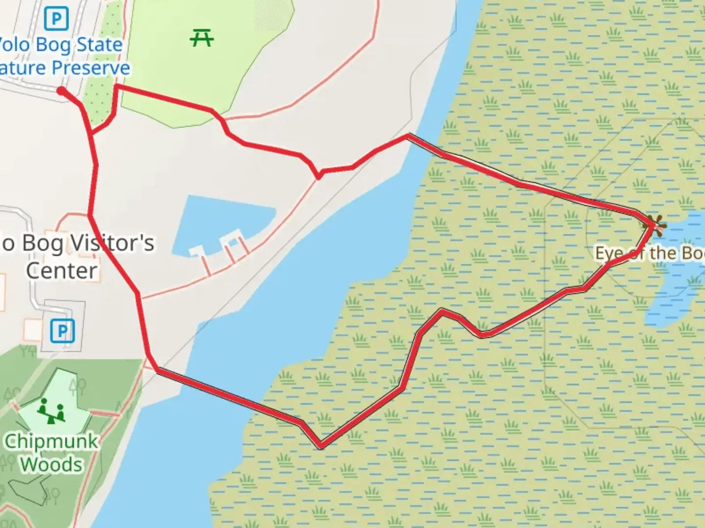 An image depicting the trail Volo Bog State Natural Area Loop Trail and its surrounding area.