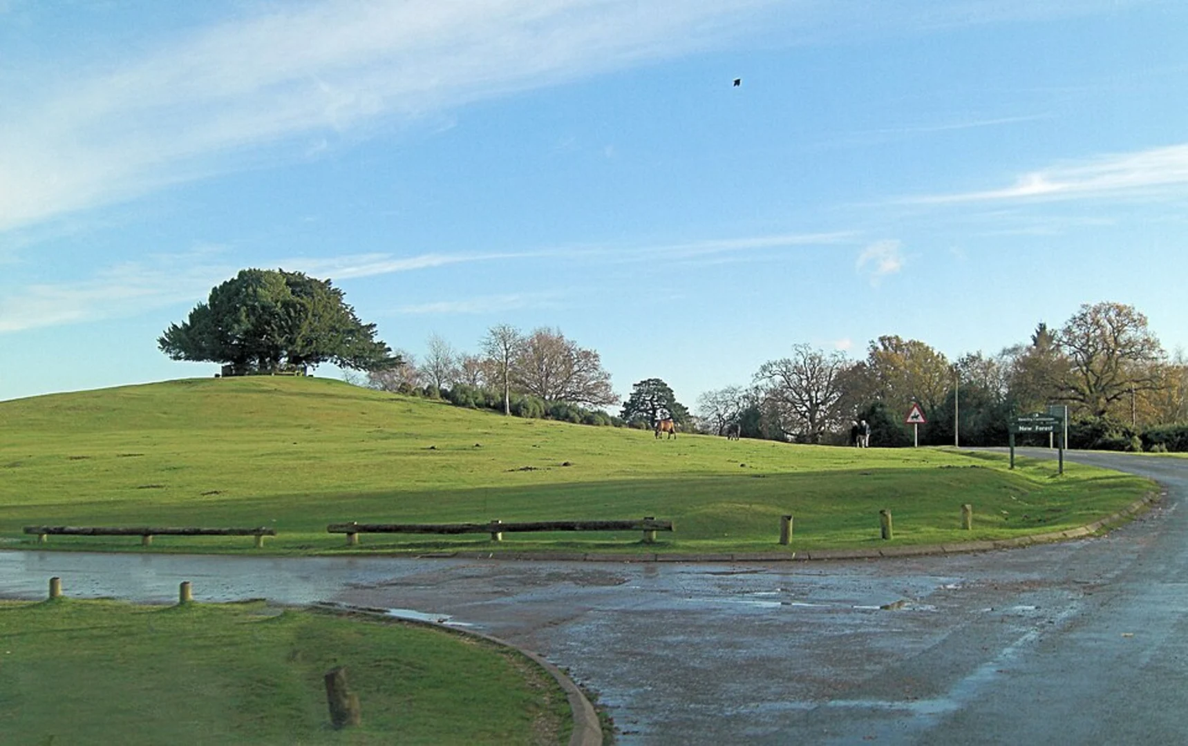 An image depicting the trail Ashurst Wood Walk and its surrounding area.