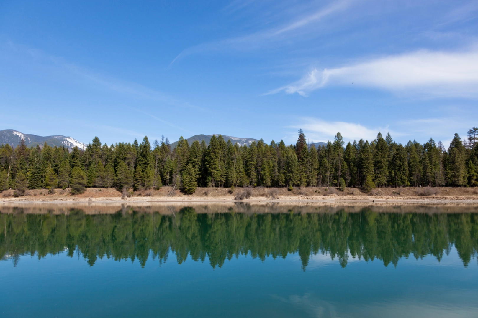 An image depicting the trail Attlebury Trail via Robin Run Trail and its surrounding area.