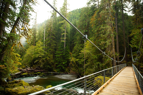 An image depicting the trail North Fork Skokomish River Trail and its surrounding area.