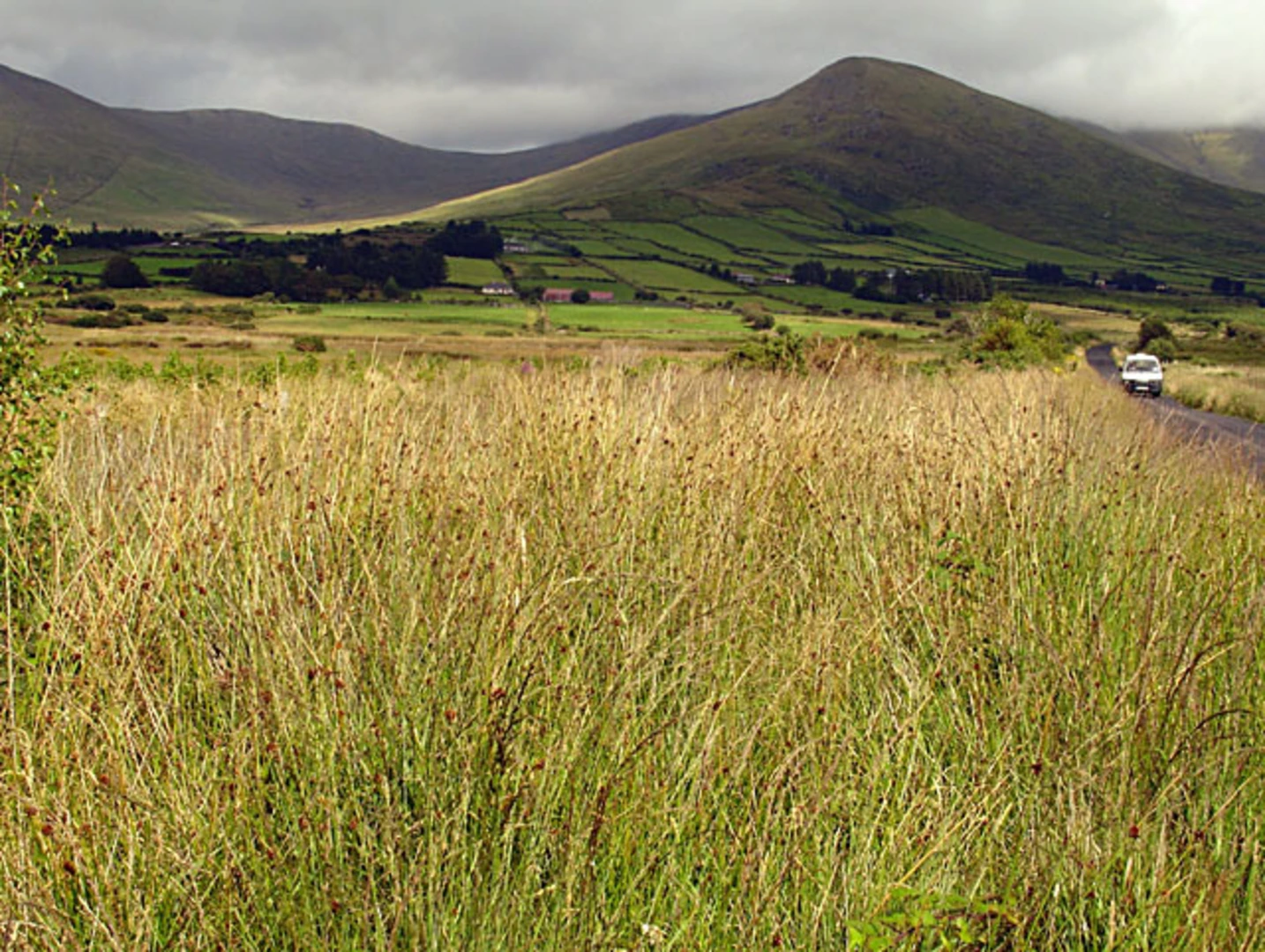 An image depicting the trail Macklaun and Drung Hill Loop and its surrounding area.