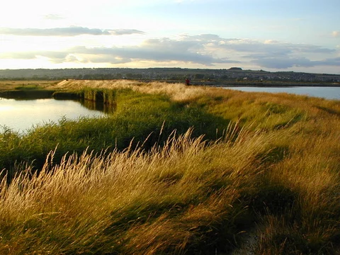 Farlington Marshes Nature Reserve Loop