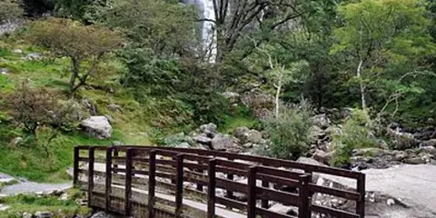 An image depicting the trail Aber Falls Path and its surrounding area.