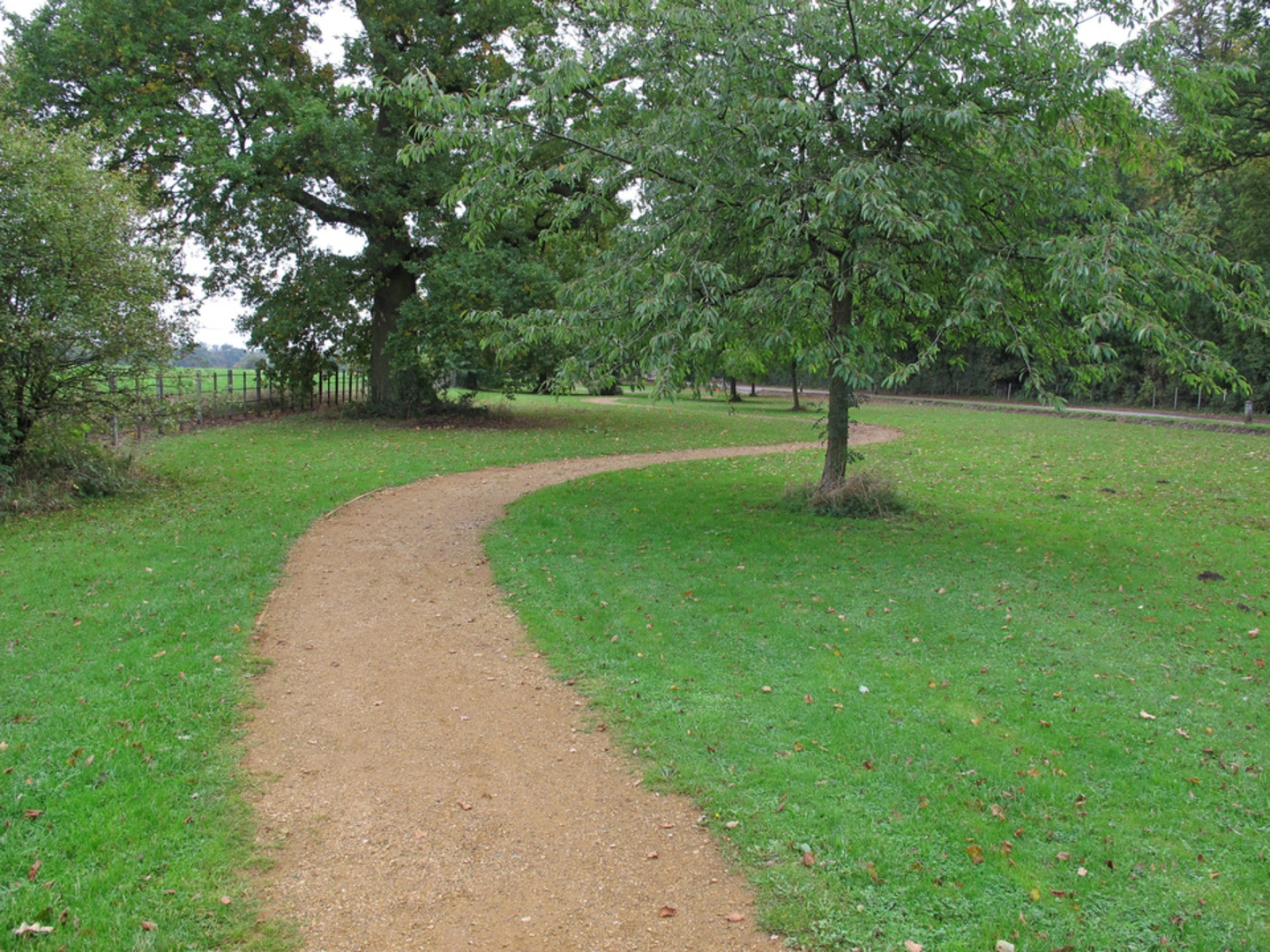 An image depicting the trail Hylands Park and its surrounding area.
