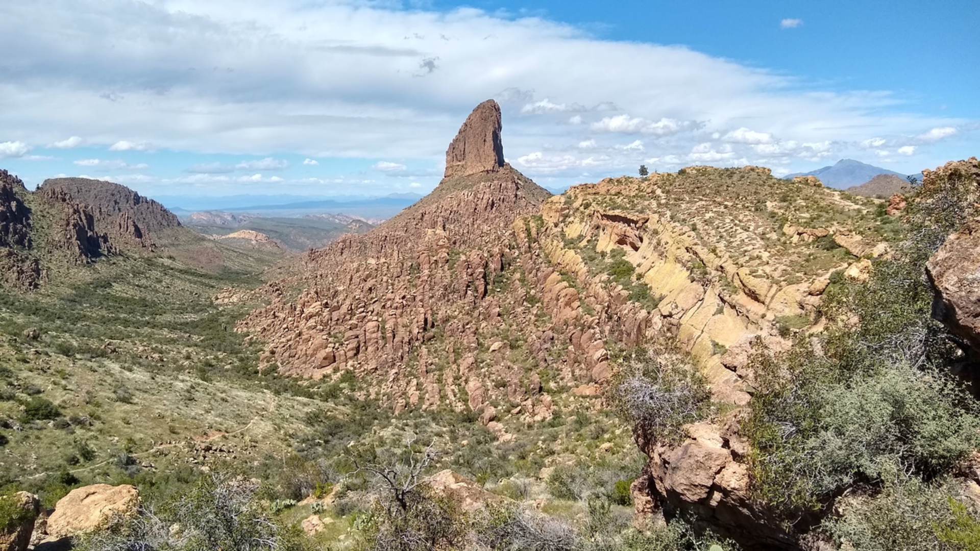 An image depicting the trail Dutchman and Bluff Springs Loop Trail and its surrounding area.