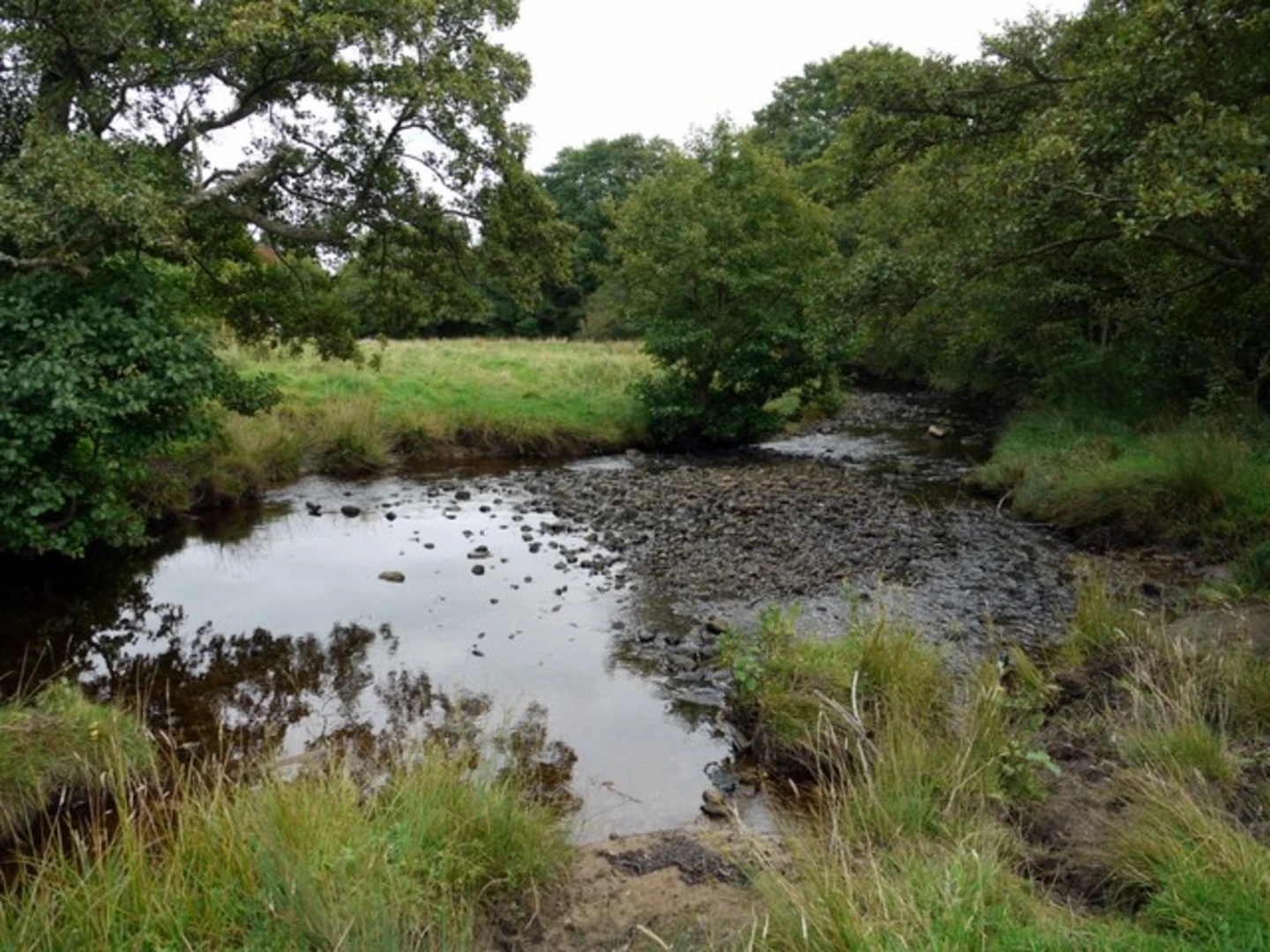 An image depicting the trail Harbottle and Hepple Loop and its surrounding area.